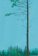 Skogsfragment 19