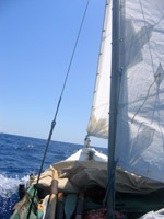 seiling
